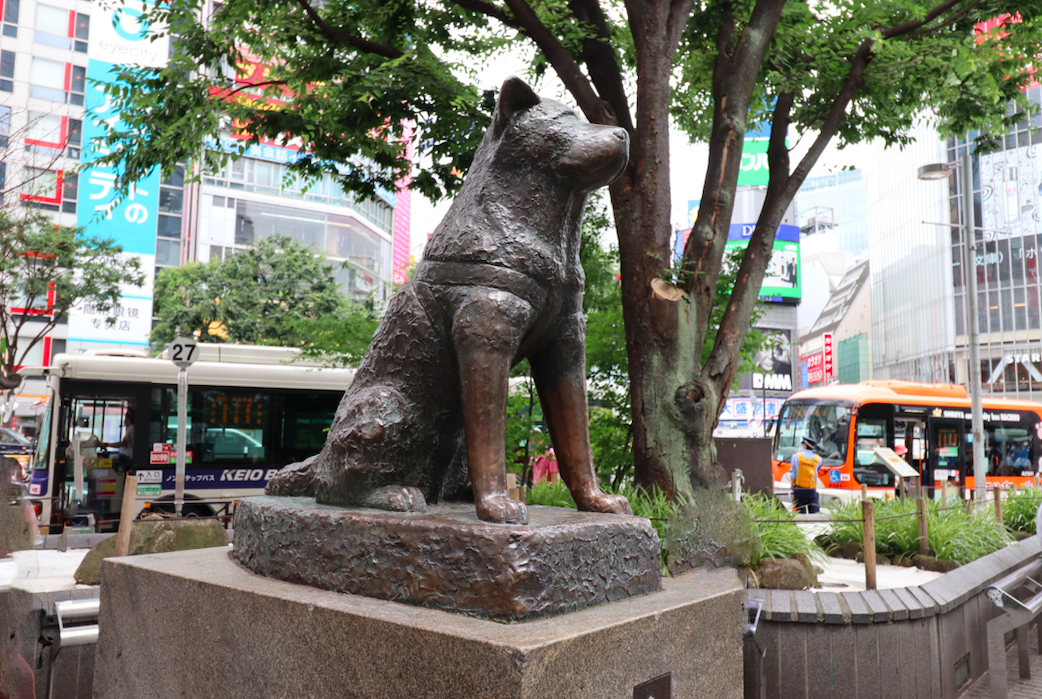 Hachiko Shibuya - Global Freaks